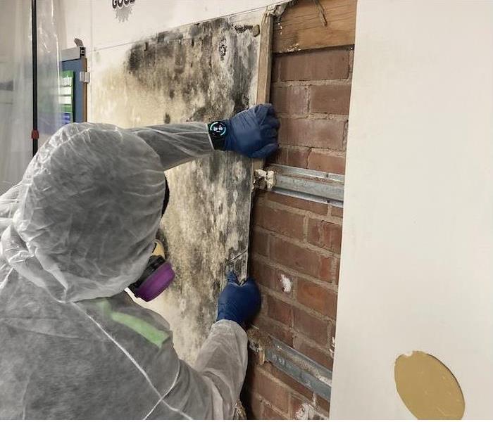 SERVPRO technician removing mold damaged drywall